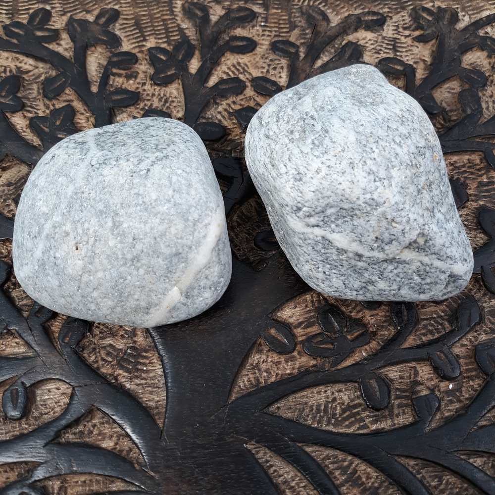 2 Granite Stones East Coast Beach Rocks Raw Rough Mineral Specimens Gray White